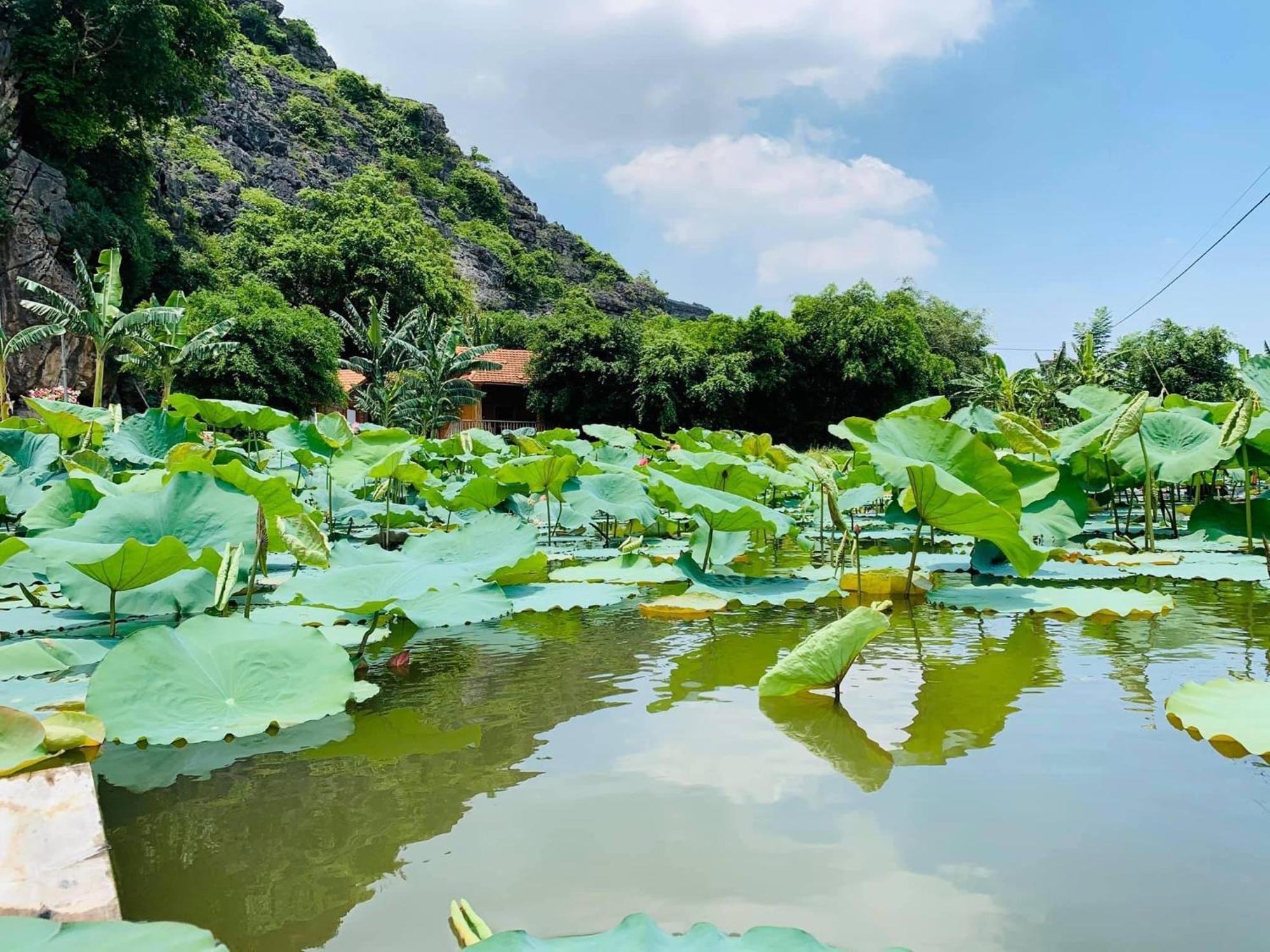Lake Retreat Ninh Binh Exterior foto